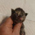 /album/5-i-lucky-life/img-20260420-185515x-jpg/