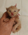 /album/6-i-lucky-life/img-20260420-185822x-jpg/