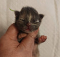 /album/7-i-lucky-life/img-20260420-184900x-jpg/